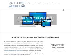 Screenshot of the Small Biz Web Design homepage