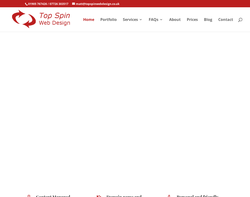 Screenshot of the Top Spin Web Design homepage