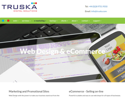 Screenshot of the Truska Enterprises homepage