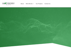 Screenshot of the Wolfberry Media homepage