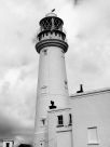 Arc3006-mono-lighthouse.jpg