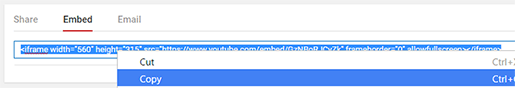 Copy YouTube Code